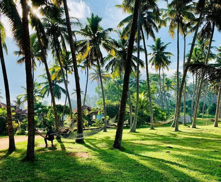 Maadathil Cottages & Beach Resort Varkala Hindistan